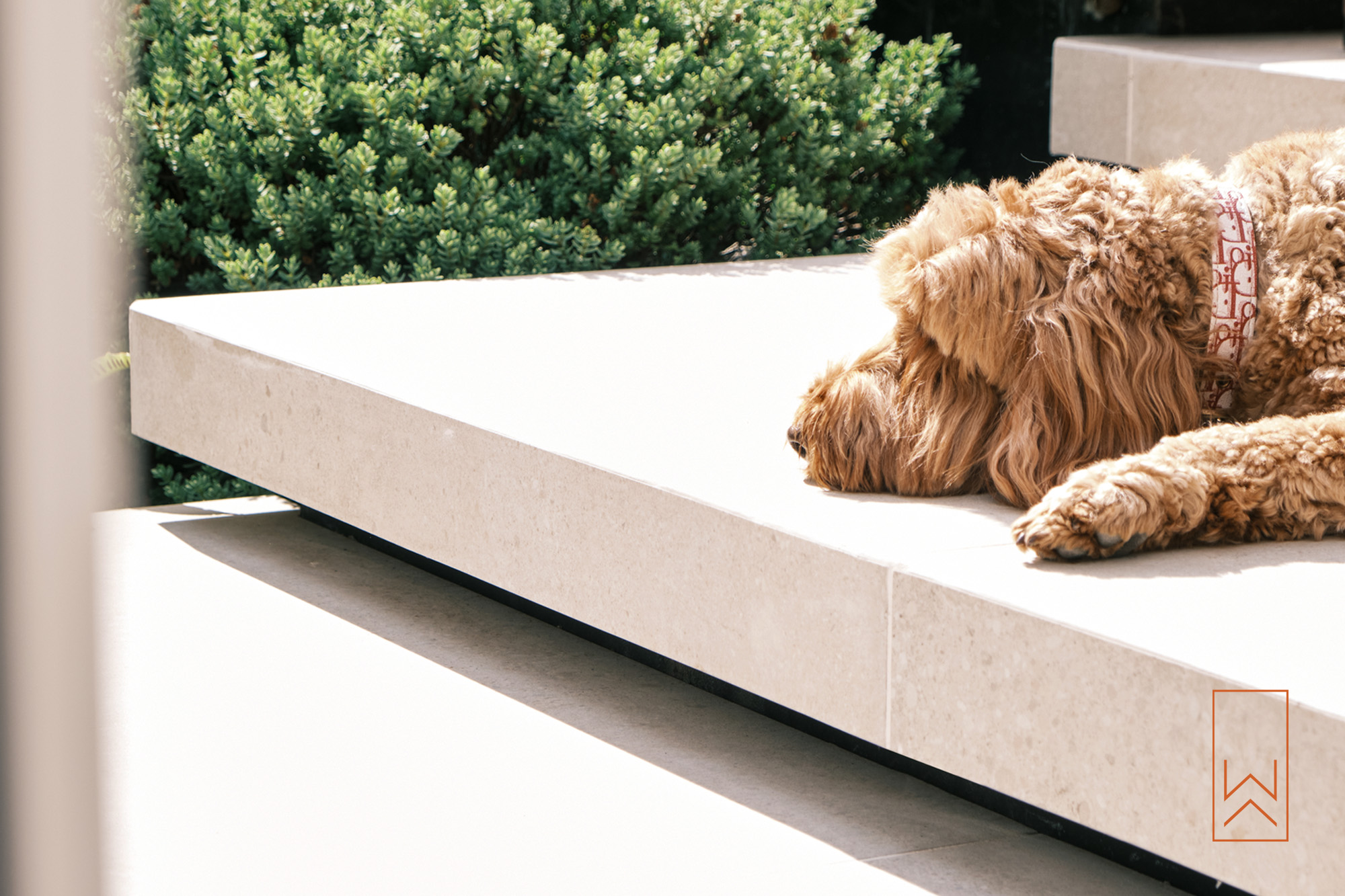 Dog lying on floating porcelain terrace step in a modern tiered garden.