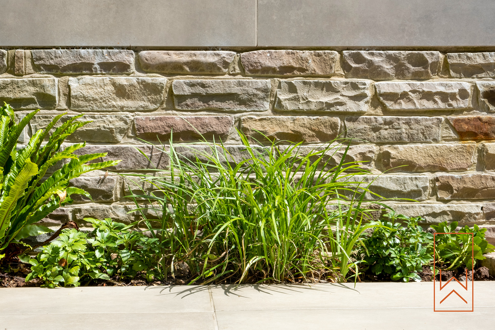 Naturalistic planting set against coursed sandstone wall in contemporary garden design.