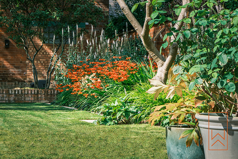 Naturalistic planting border with perennials and ornamental grasses in town garden.