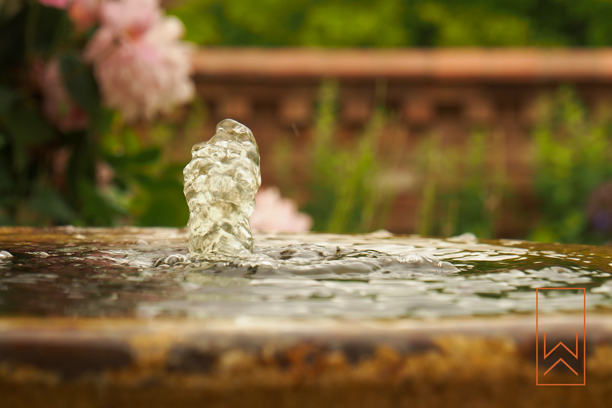 Wildlife water feature with spouts in Mediterranean-style garden, Leamington Spa