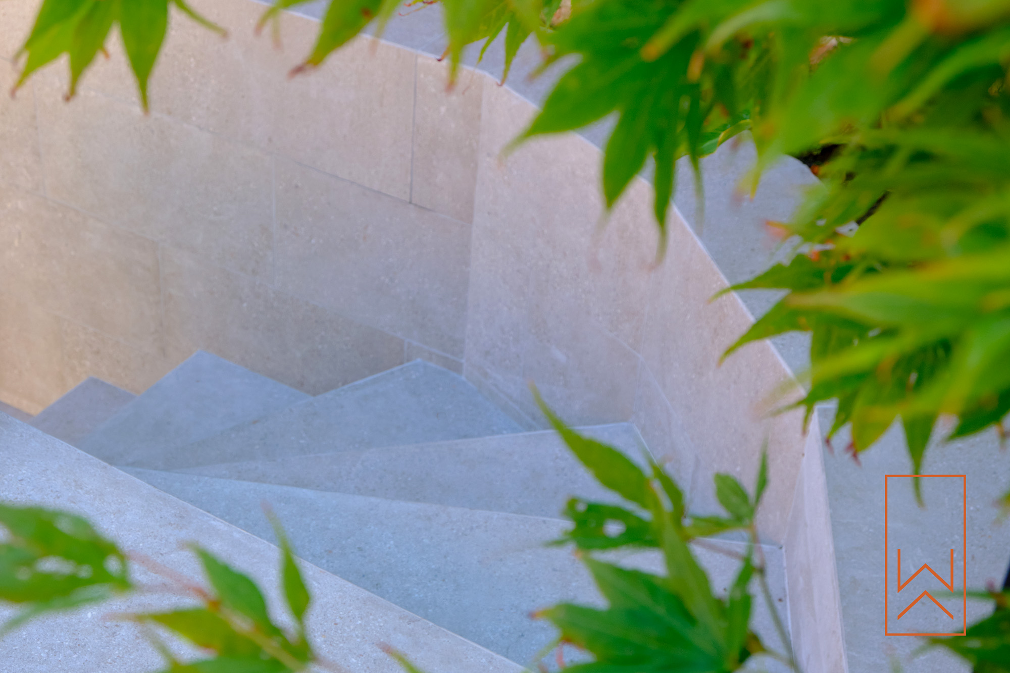 Contemporary garden steps in Warwick with porcelain paving and Japanese maple foliage.