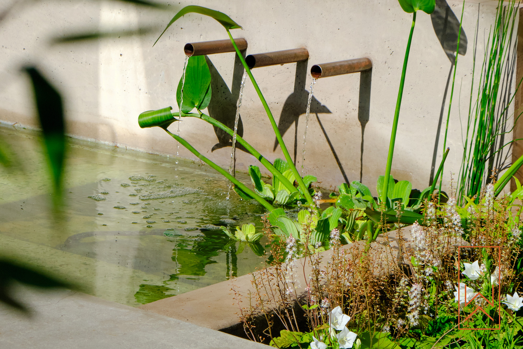 Minimal water feature with planted pond in modern Warwick garden design.
